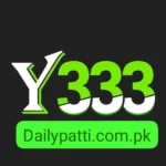 Y333 Game
